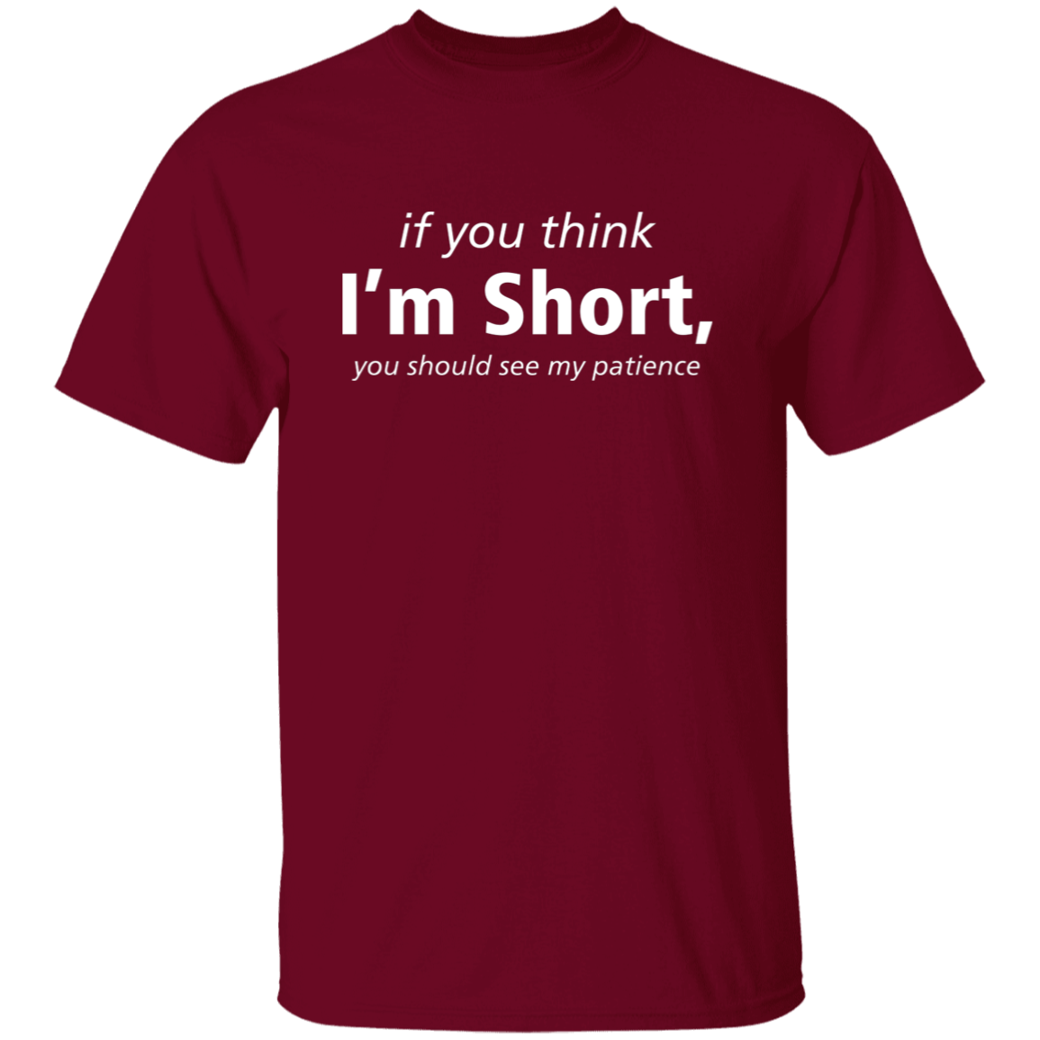 If You Think I'm Short, You Should See My Patience T-Shirt